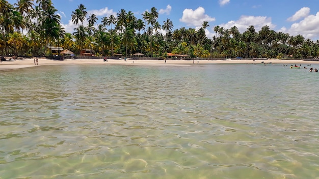 Praia tropical na praia paradisíaca do dia ensolarado com céu azul e água cristalina