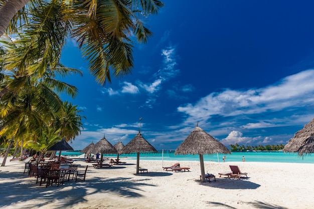 Praia tropical nas Maldivas com palmeiras e uma lagoa vibrante e convidativa