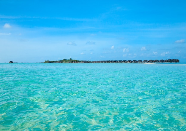 Praia tropical nas Maldivas com poucas palmeiras e lagoa azul