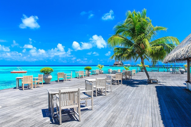 Foto praia tropical nas maldivas com poucas palmeiras e lagoa azul