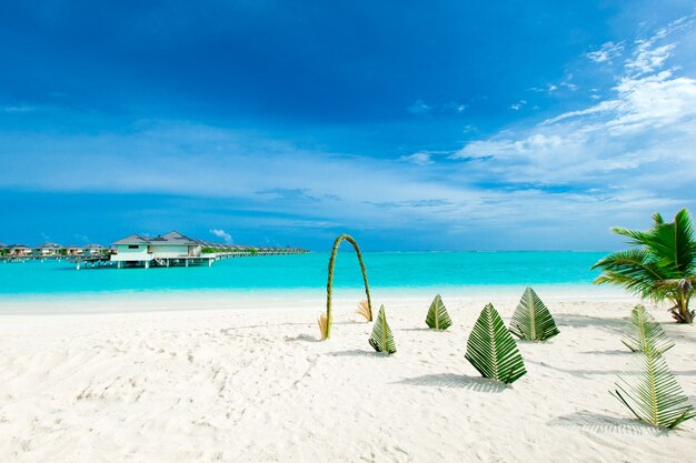 Praia tropical nas Maldivas com poucas palmeiras e lagoa azul