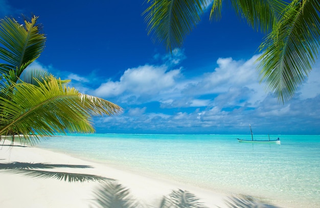 Foto praia tropical nas maldivas com poucas palmeiras e lagoa azul