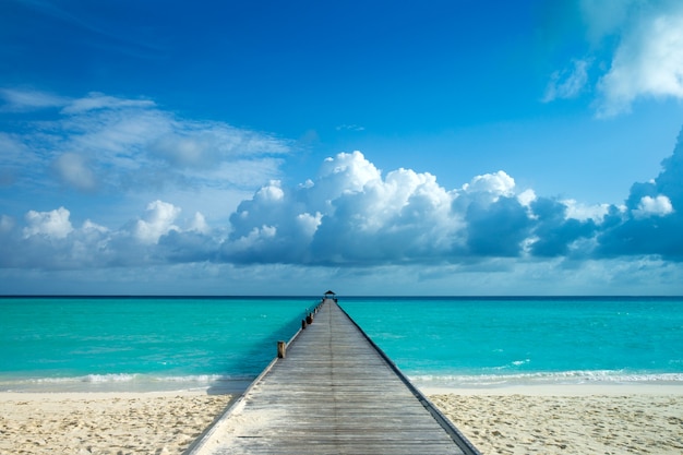 Praia tropical nas Maldivas com poucas palmeiras e lagoa azul