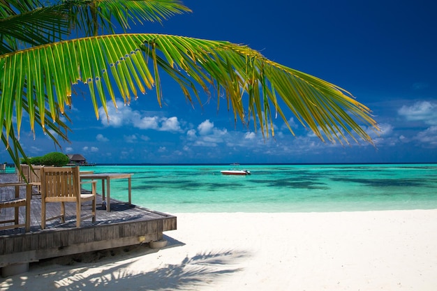 Praia tropical nas Maldivas com poucas palmeiras e lagoa azul