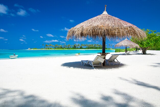 Praia tropical nas Maldivas com poucas palmeiras e lagoa azul