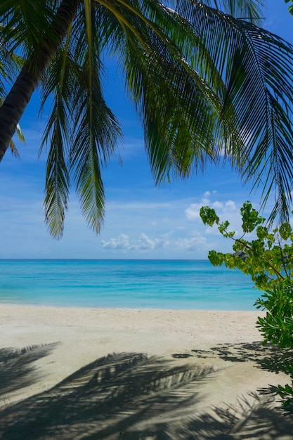 Praia tropical nas Maldivas