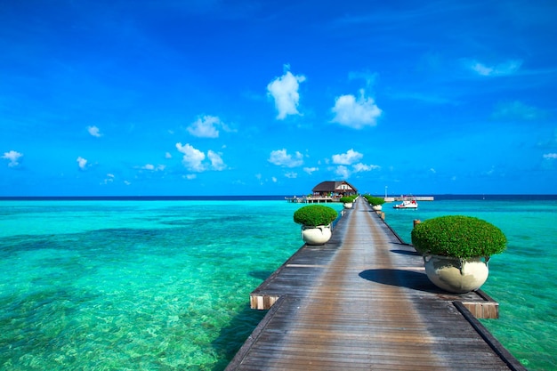 Praia tropical nas Maldivas
