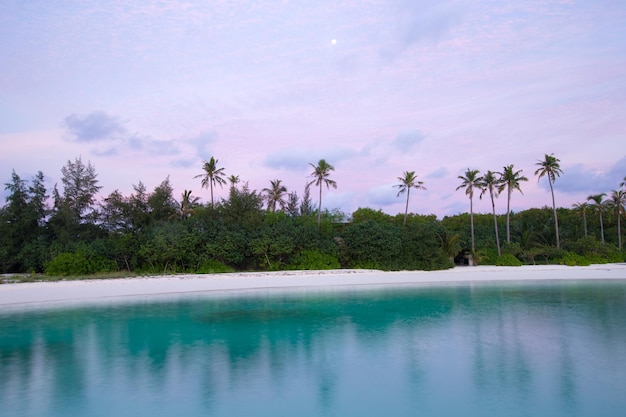 Praia tropical nas Maldivas