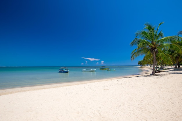 Praia tropical no Sri Lanka. Férias de verão e conceito de férias para o turismo.