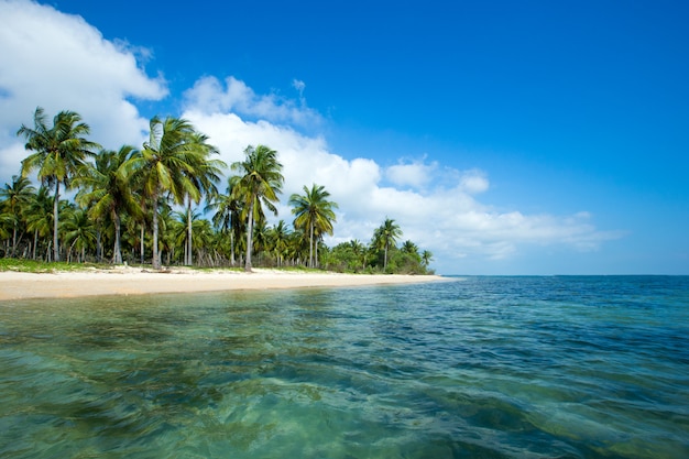 Praia tropical no Sri Lanka. Férias de verão e o conceito de férias para o turismo.