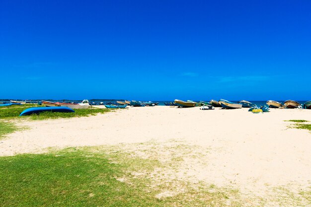 Praia tropical no Sri Lanka