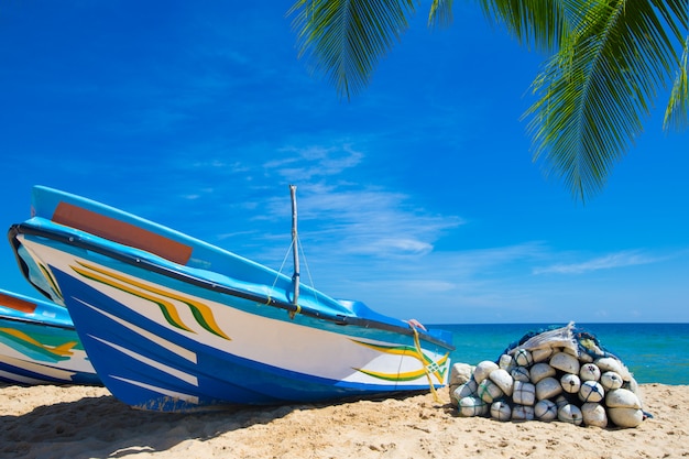 Praia tropical no sri lanka