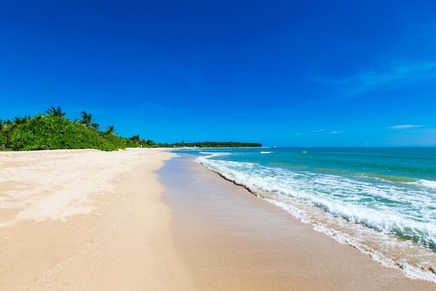 Praia tropical no Sri Lanka