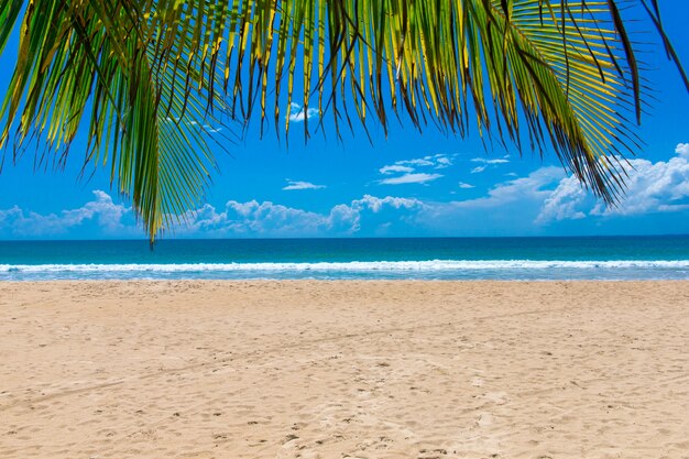 praia tropical no Sri Lanka