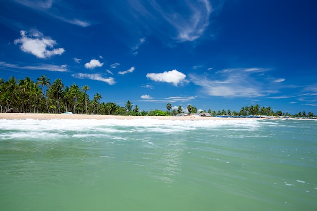 praia tropical no Sri Lanka