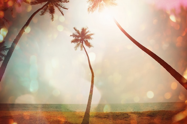 Praia tropical serenidade, filtro Instagram