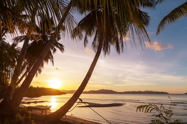 Praia tropical serenidade