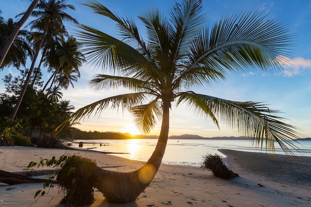 Praia tropical serenidade