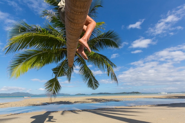 Praia tropical serenidade