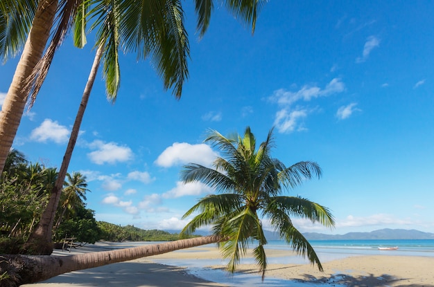 Praia tropical serenidade