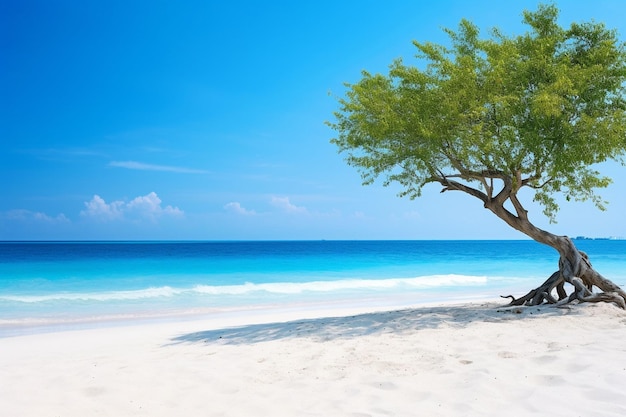 Praias de areia branca, mar azul e belas zonas tropicais.