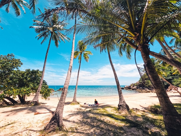Praias e coqueiros em uma ilha tropical