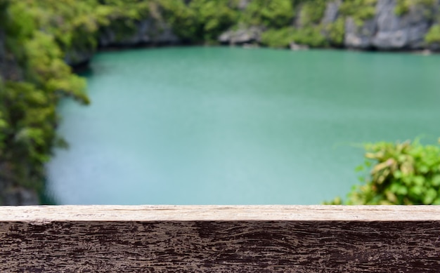 Prancha de madeira sobre o lago verde com árvore verde turva