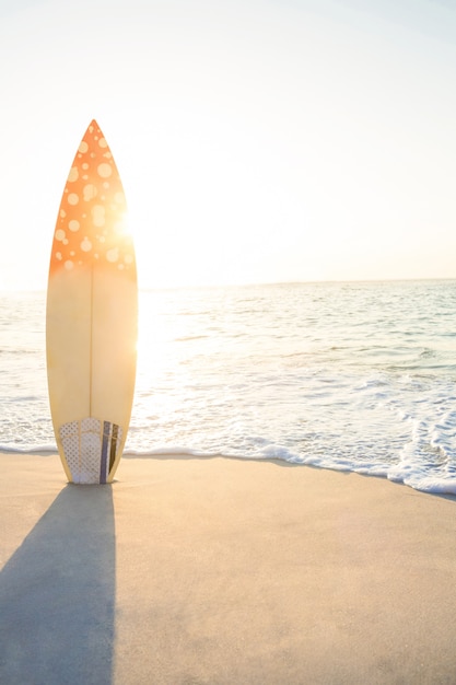 Prancha de surf em pé na areia