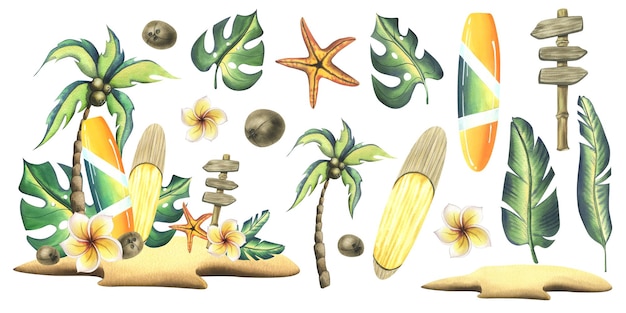 Pranchas de surf em uma praia arenosa com palmeiras folhas tropicais flores de coco um ponteiro de madeira e uma estrela do mar Ilustração em aquarela desenhada à mão Conjunto de elementos isolados em um fundo branco