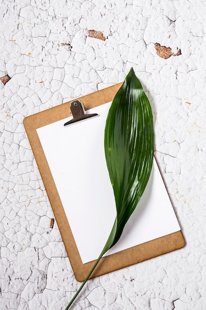 Foto prancheta com folha de planta