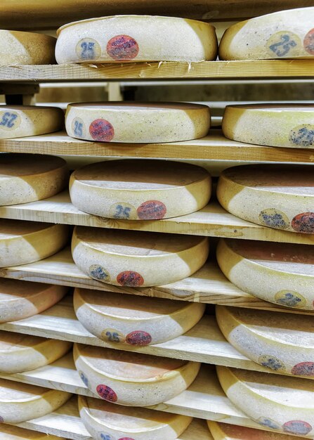 Prateleira de envelhecimento Gruyere de Comte Cheese em prateleiras de madeira na adega de amadurecimento em Franche Comte na França