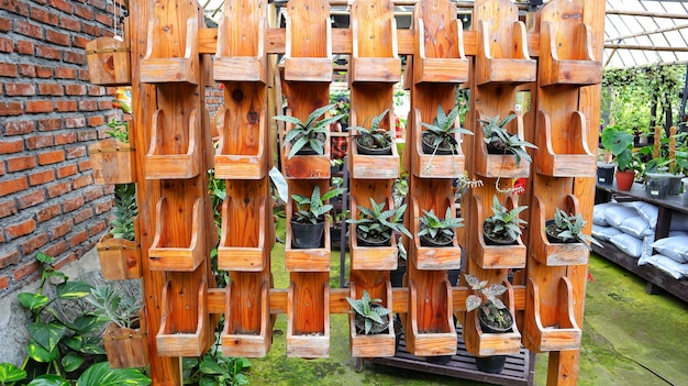 Prateleira de madeira com muitas prateleiras para colocar seus vasos ao ar livre Jardim vertical