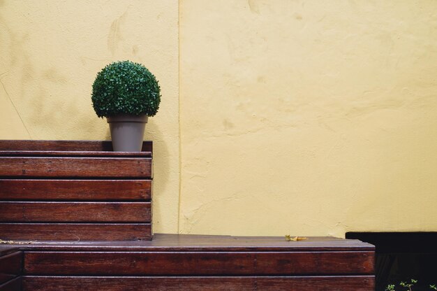 Prateleira de madeira segurando uma planta com parede de concreto amarelo no fundo e copie o espaço