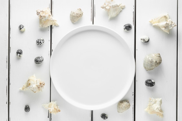 Foto prato branco com conchas em fundo de madeira branca, papel de parede