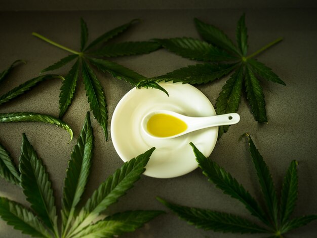 Prato branco com uma colher de porcelana contendo óleo de CBD e folhas de maconha ao redor para terapia.