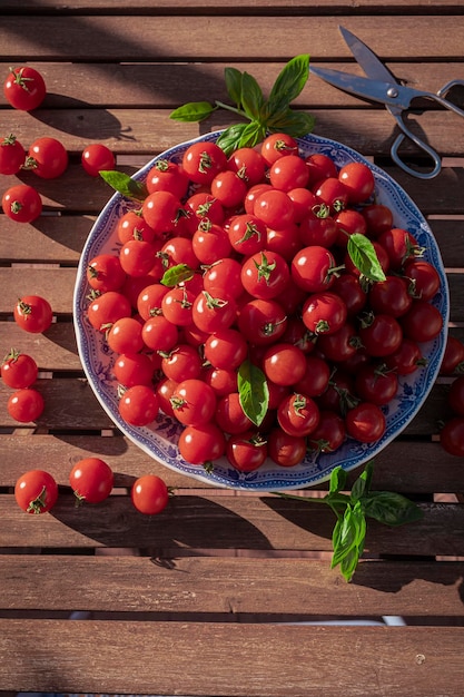 Prato cheio de tomates cereja maduros em uma mesa de madeira à luz do sol