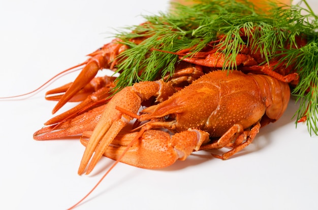 Prato de frutos do mar com lagostim vermelho cozido