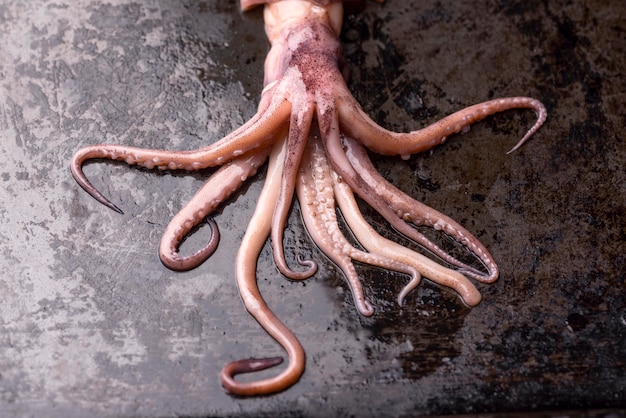 Foto prato de frutos do mar com tentáculos exóticos de polvo