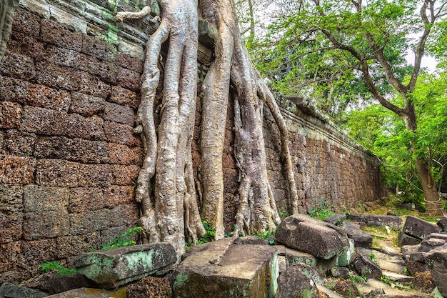 Preah Khan Tempel in Angkor Wat in Siem Reap, Kambodscha