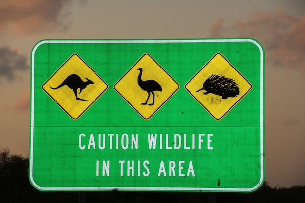 Precaución con la vida silvestre en esta área signo de australia