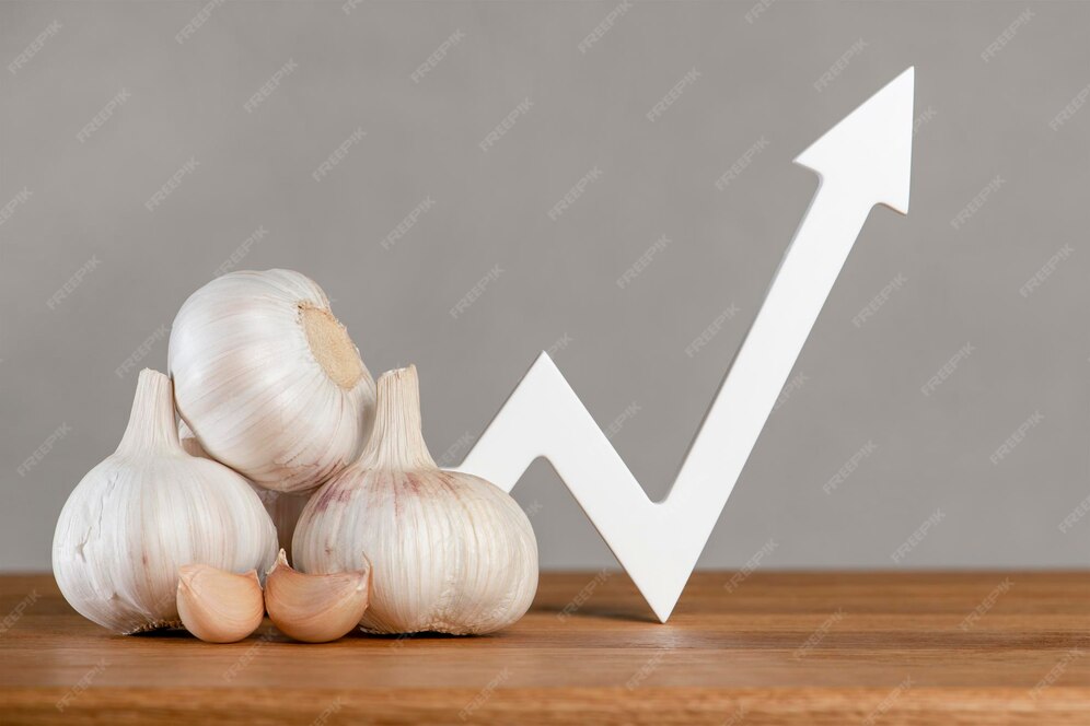 Precio del ajo cosecha de ajo exportación e importación de hortalizas