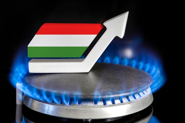 Precio del gas Aumento de los precios del gas en Hungría Un quemador con una llama y una flecha pintada con los colores de la bandera de Hungría El concepto de aumento de los precios del gas o la energía