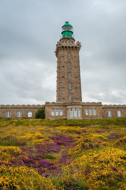 Preciosas flores en verano en Phare Du Cap Frehel, es un faro marítimo en Cotes-dÃƒÂ‚Ã‚Â´Armor (Francia). En la punta de Cap Frehel