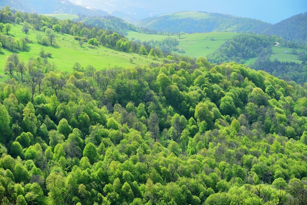 Preciosas montañas de primavera