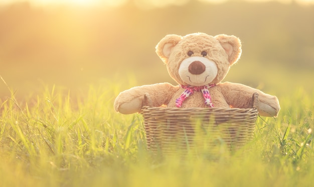 Precioso oso de peluche marrón en cesta de mimbre en campo verde