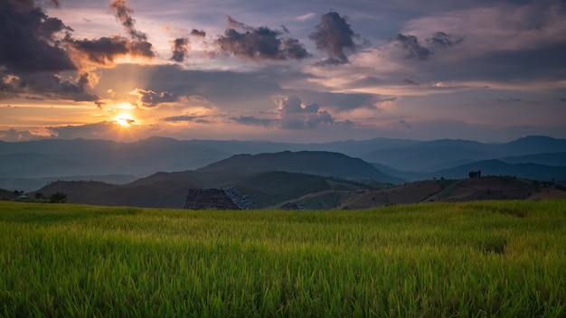 Precioso paisaje. Campos de arroz en el pueblo de Pa Pong Pieng, Mae Chaem, Chiang Mai, Tailandia.