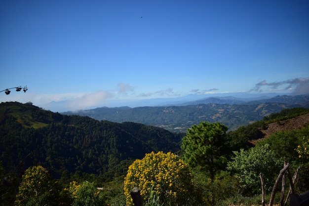 Foto precioso paisaje