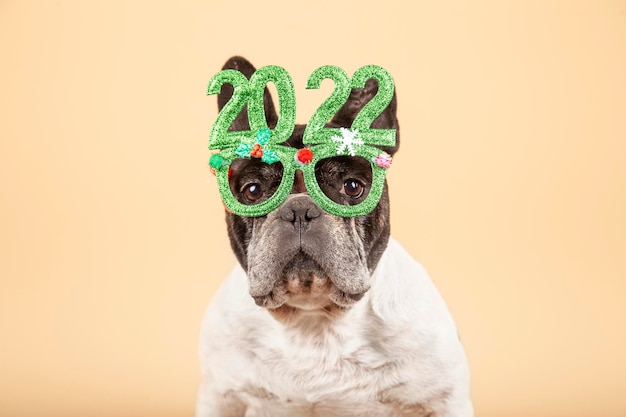 Precioso perro bulldog francés con gafas festivas 2022. Feliz año nuevo