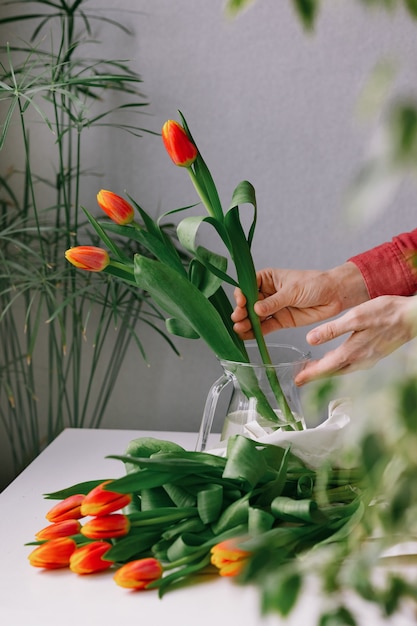 Preciosos tulipanes rojos en una mano de mujer mujer europea floristería prepara un ramo de tulipanes para un