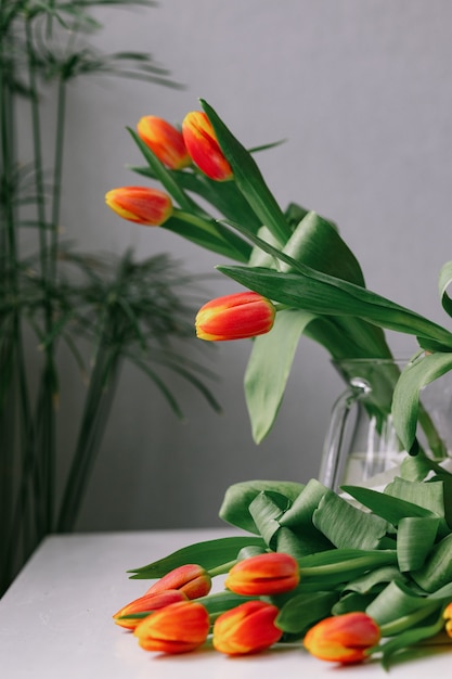 Preciosos tulipanes rojos en una mano de mujer mujer europea floristería prepara un ramo de tulipanes para un